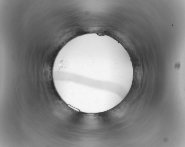 X0000090410380200708101925