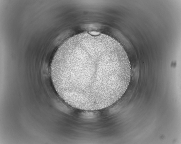 X0000090410381200708101925