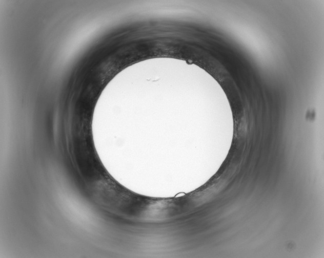 X0000090410382200708101925