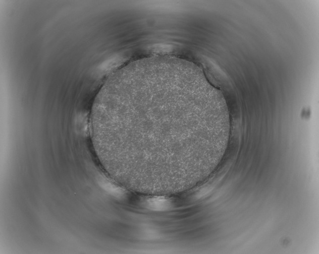 X0000090410383200708101925