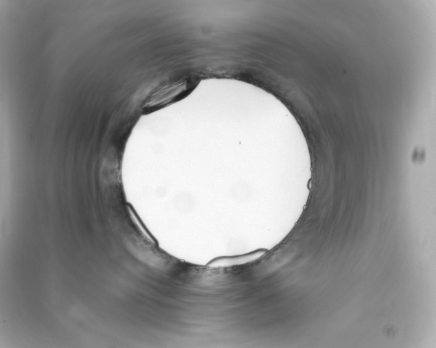 X0000090410384200708101925