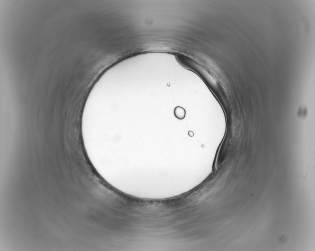 X0000090410385200708101924
