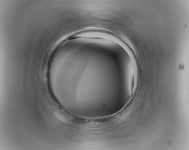 X0000090410387200708101924