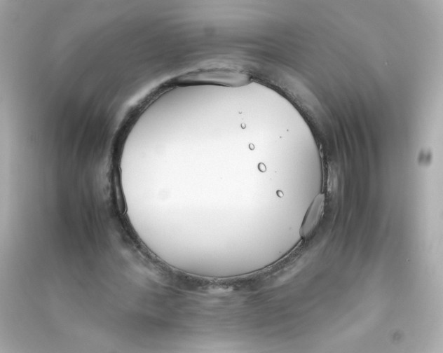 X0000090410388200708101924