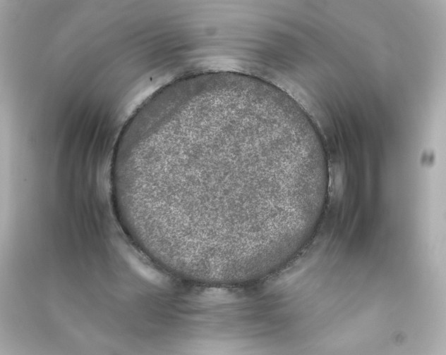 X0000090410390200708101924