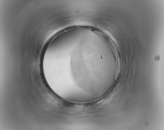X0000090410391200708101924