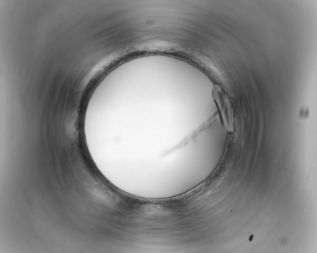 X0000090410392200708101924