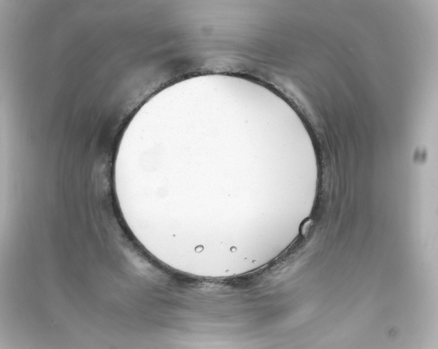X0000090410393200708101924