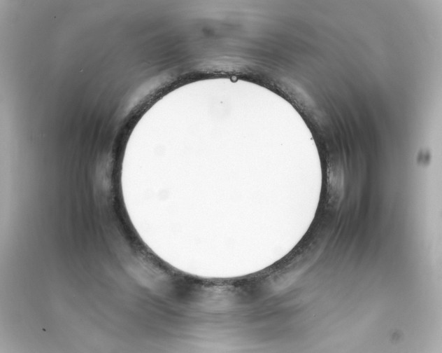 X0000090410396200708101924