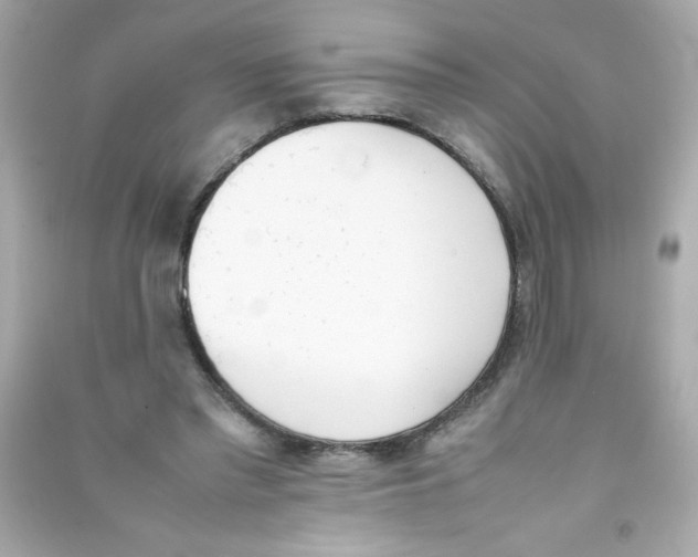 X0000090410397200708101924