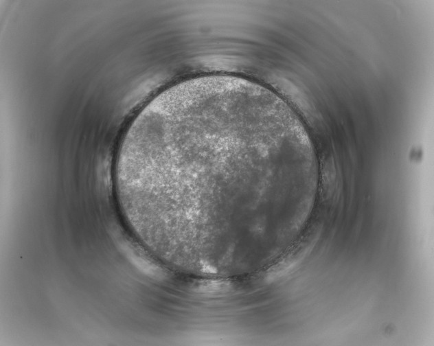 X0000090410398200708101924