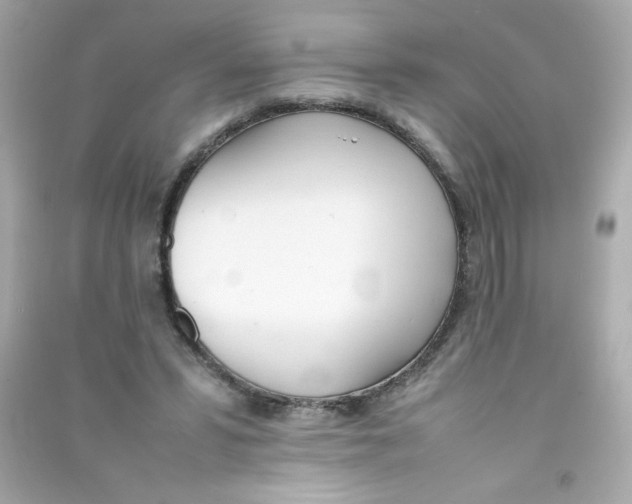 X0000090410399200708101924