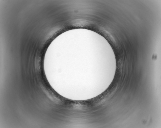 X0000090410400200708101924