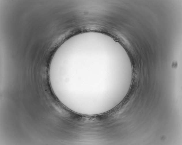 X0000090410401200708101924