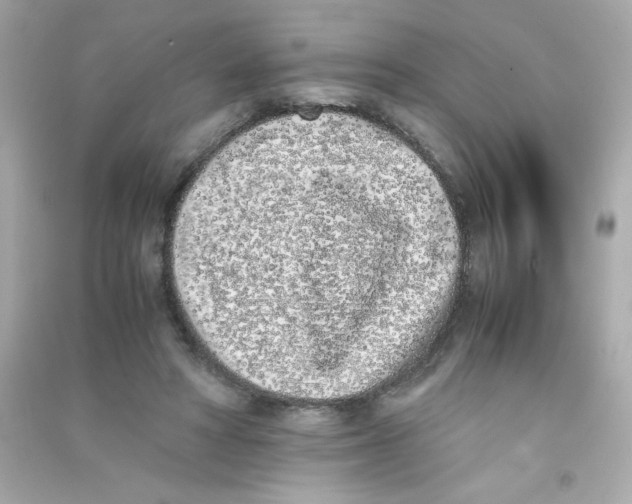 X0000090410402200708101924
