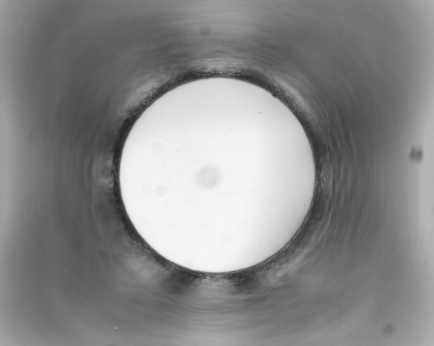 X0000090410403200708101924