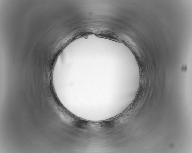 X0000090410405200708101924