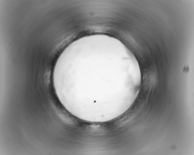X0000090410406200708101924