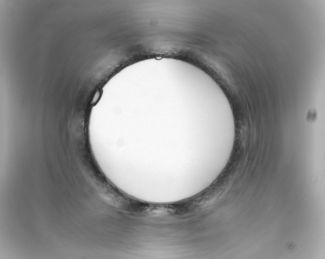 X0000090410407200708101924