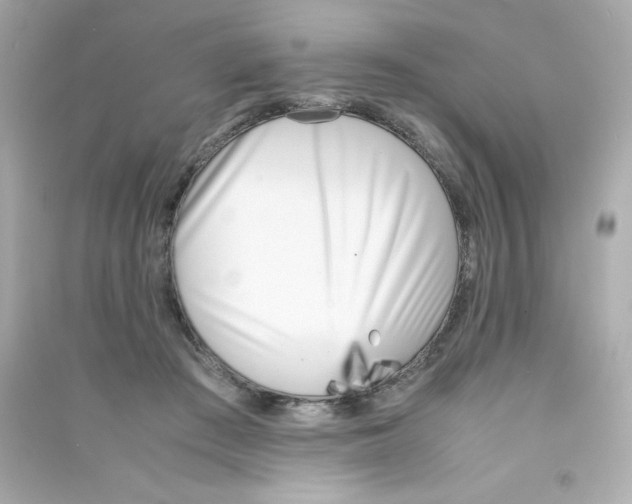 X0000090410409200708101924