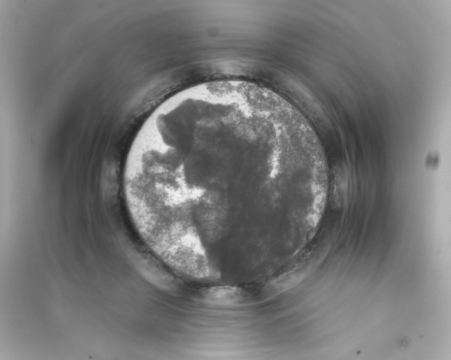 X0000090410410200708101924