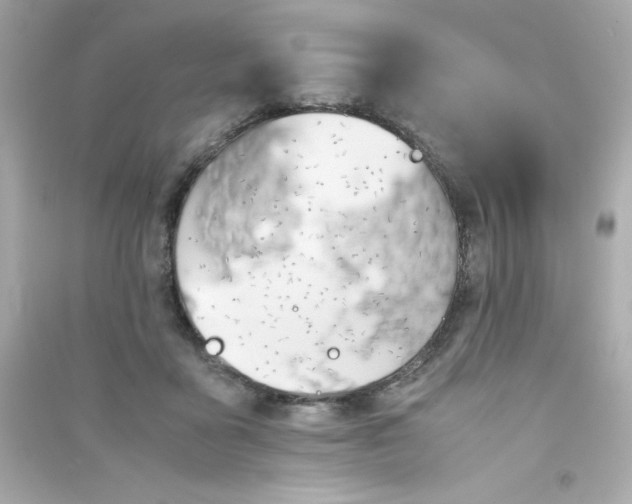 X0000090410411200708101924