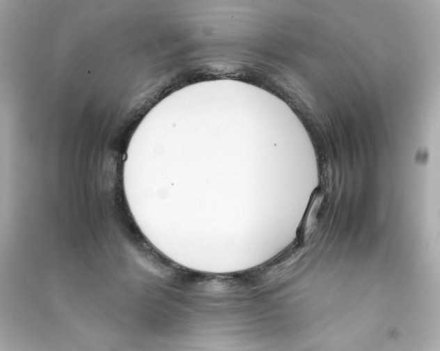 X0000090410412200708101924