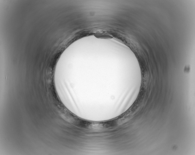 X0000090410413200708101924