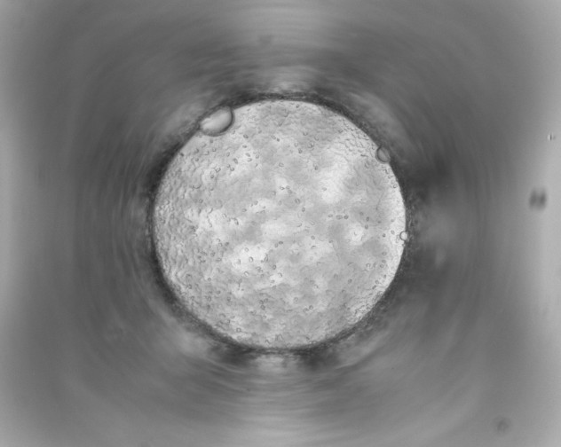 X0000090410415200708101924