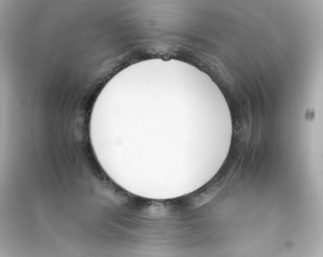 X0000090410416200708101924