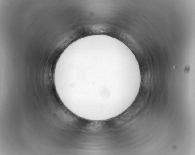 X0000090410418200708101924