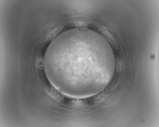 X0000090410419200708101924
