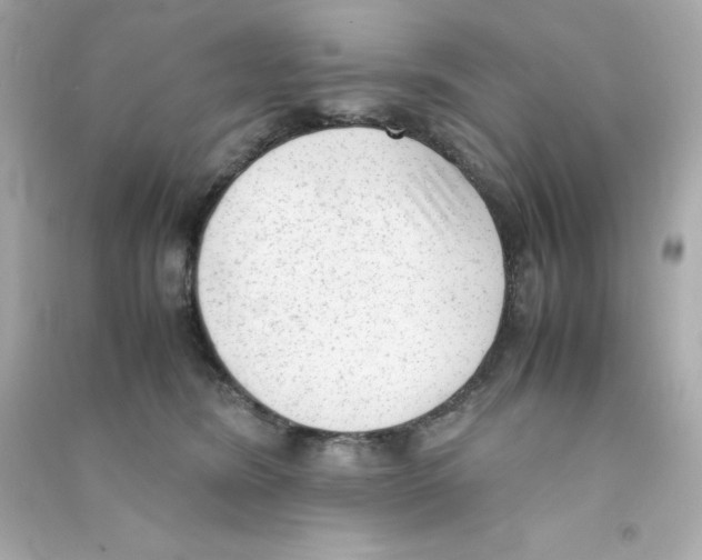 X0000090410420200708101924