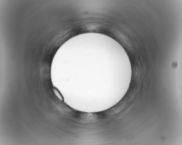 X0000090410421200708101924