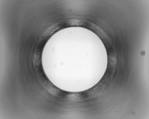 X0000090410422200708101924