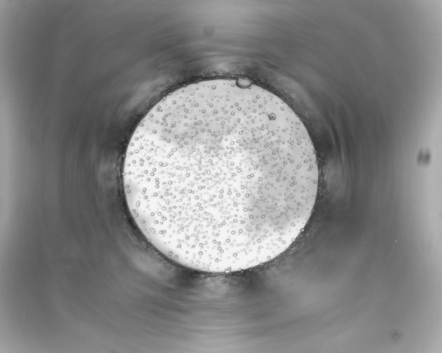 X0000090410423200708101924