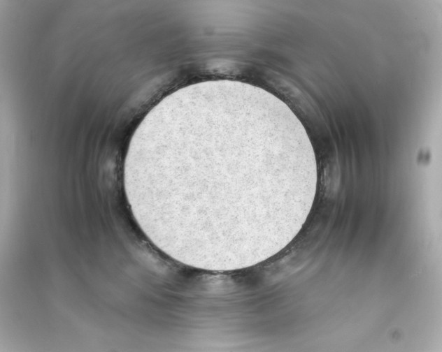 X0000090410424200708101924