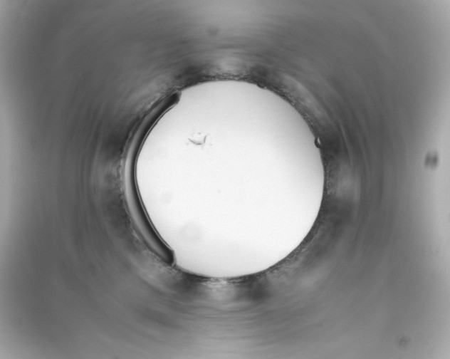 X0000090410425200708101924