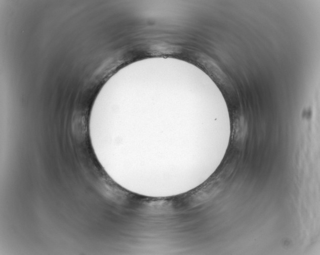 X0000090410426200708101924