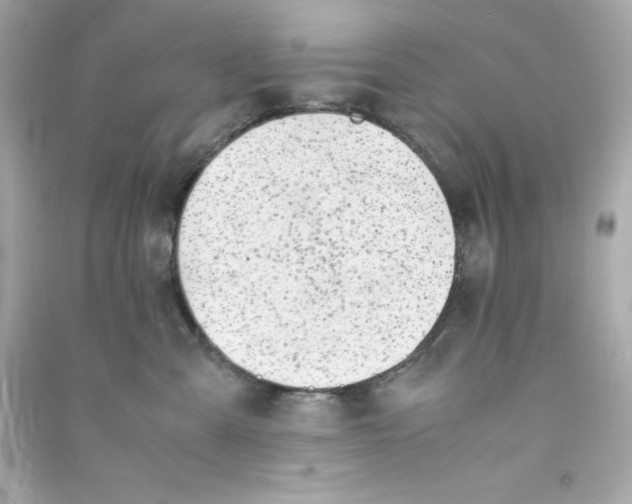 X0000090410427200708101924