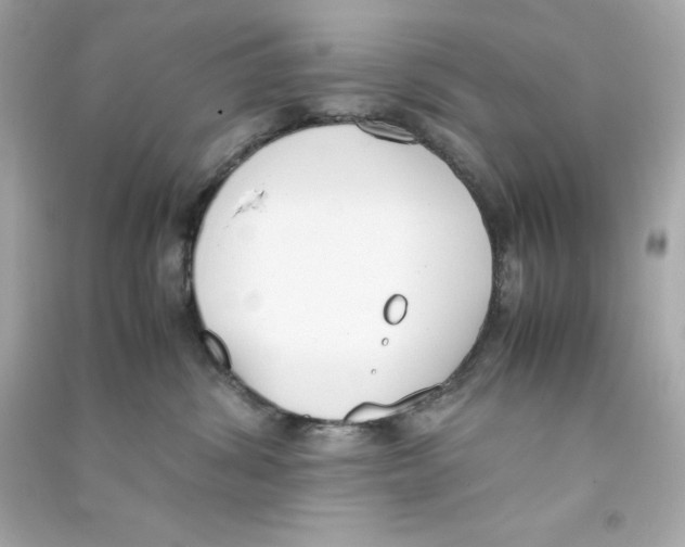 X0000090410428200708101924