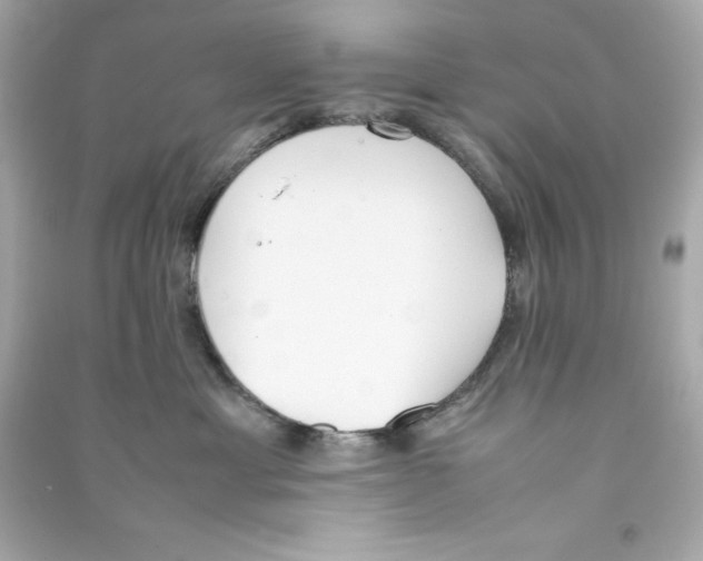 X0000090410429200708101924