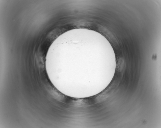 X0000090410430200708101924