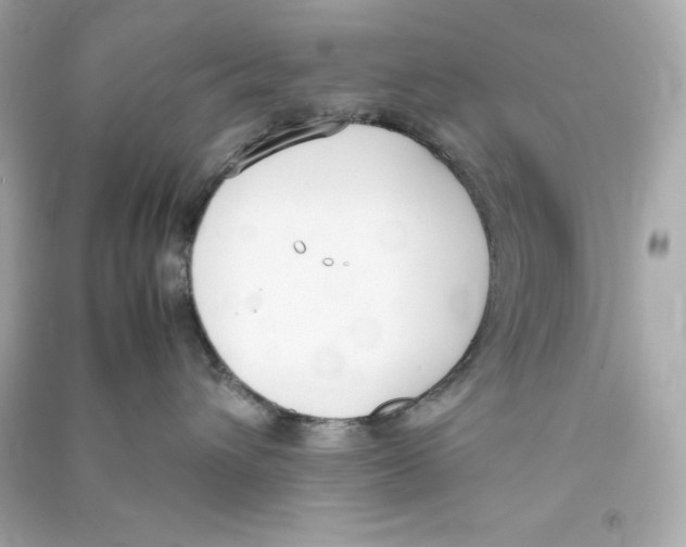 X0000090410432200708101924