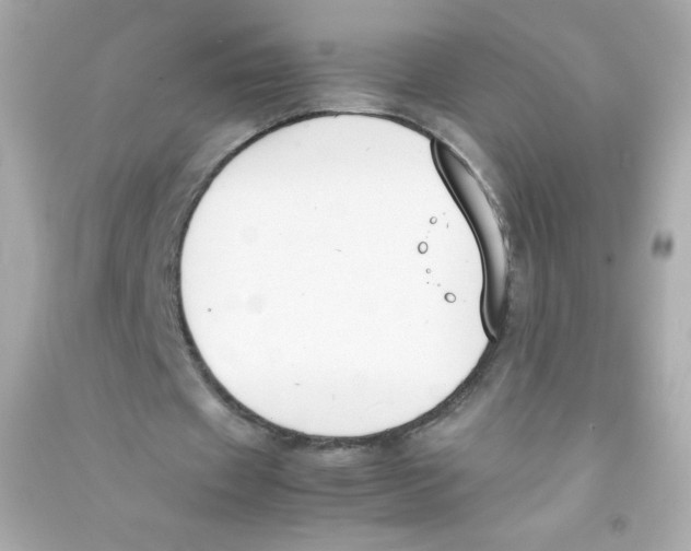 X0000090410433200708101923