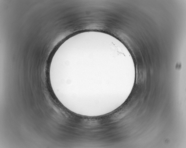 X0000090410435200708101923
