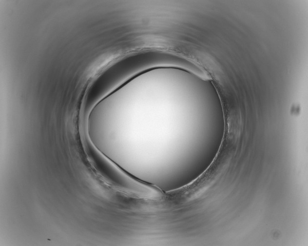 X0000090410436200708101923