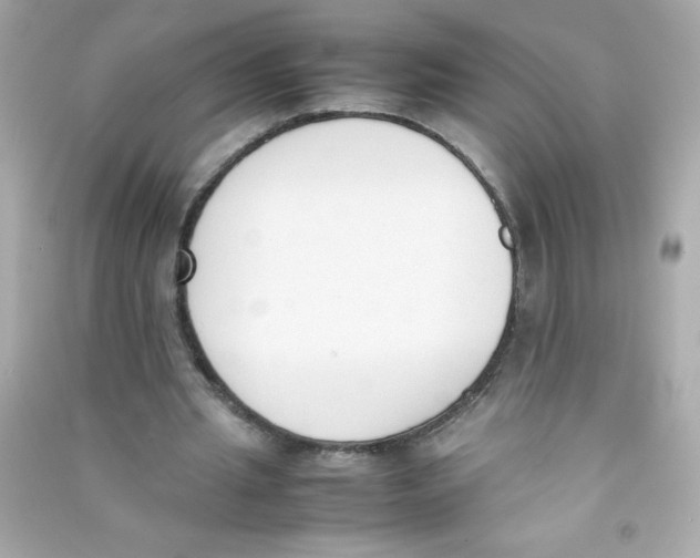 X0000090410437200708101923