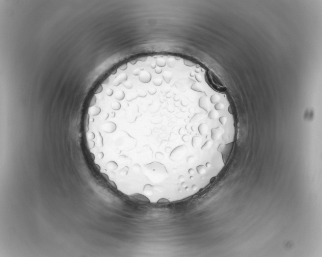 X0000090410438200708101923