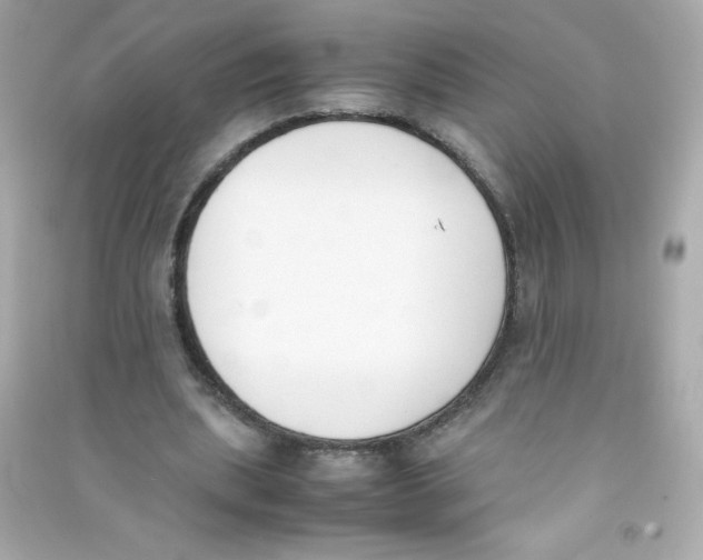 X0000090410439200708101923